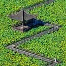 犭央犭茶 湖 - 绍兴市旅游 缩略图 2