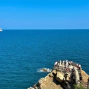 威海幸福门 - 威海市旅游 缩略图 7