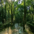 龟峰风景区 - 上饶市旅游 缩略图 5