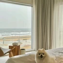 theTANG 唐舍酒店 - 秦皇岛市旅游 缩略图 1