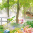 茅山森林世界 - 常州市旅游 缩略图 4