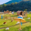 茅山森林世界 - 常州市旅游 缩略图 3