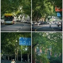 中山北路 - 芜湖市旅游 缩略图 1