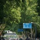 中山北路 - 芜湖市旅游 缩略图 7
