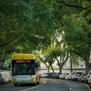 中山北路 - 芜湖市旅游 缩略图 8
