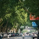 中山北路 - 芜湖市旅游 缩略图 6