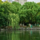 杏花公园 - 合肥市旅游 缩略图 2