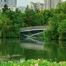 杏花公园 - 合肥市旅游 缩略图 5