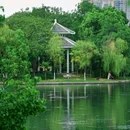 杏花公园 - 合肥市旅游 缩略图 7