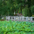 杏花公园 - 合肥市旅游 缩略图 8