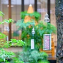 阅见西湖 - 杭州市旅游 缩略图 5
