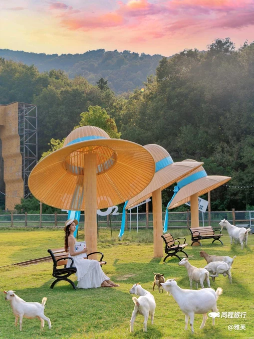 茅山森林世界 - 常州市旅游