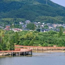 南联村 - 宁波市旅游 缩略图 4