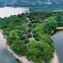 南联村 - 宁波市旅游 缩略图 1