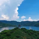 南联村 - 宁波市旅游 缩略图 8