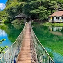 紫云谷景区 - 肇庆市旅游 缩略图 1