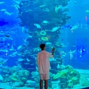 泉州欧乐堡度假区 - 泉州市旅游 缩略图 9