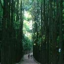 龙椅山植物园 - 成都市旅游 缩略图 3