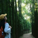 龙椅山植物园 - 成都市旅游 缩略图 2