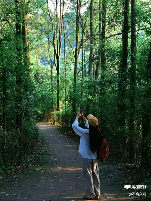 龙椅山植物园 - 成都市旅游