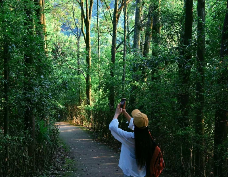 龙椅山植物园 - 成都市旅游 1