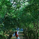龙椅山植物园 - 成都市旅游 缩略图 5