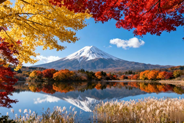 6天5晚·漫游关东·9人小团+东京+富士山+东京迪士尼乐园