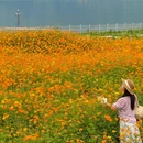 马道口田也麓营地 - 宝鸡市旅游 缩略图 3