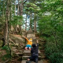 黄山风景区 - 黄山市旅游 缩略图 4