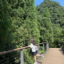 观景台 - 昭通市旅游 缩略图 8