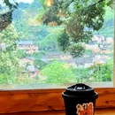 原舍揽树(松阳店) - 丽水市旅游 缩略图 6