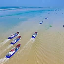 沙湾港 - 盐城旅游 缩略图 2