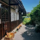 大理晚照小院 - 大理白族自治州旅游 缩略图 2