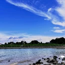 海鸥岛露营区 - 广州市旅游 缩略图 4