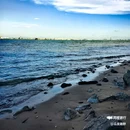 海鸥岛露营区 - 广州市旅游 缩略图 6