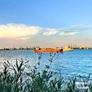 海鸥岛露营区 - 广州市旅游 缩略图 5