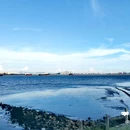 海鸥岛露营区 - 广州市旅游 缩略图 7