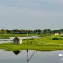 海鸥岛露营区 - 广州市旅游 缩略图 9