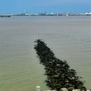 海鸥岛露营区 - 广州市旅游 缩略图 8