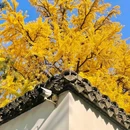 扬州东高铁站美居酒店 - 扬州市旅游 缩略图 6