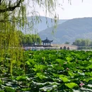 神仙湖生态公园 - 嘉兴市旅游 缩略图 3