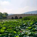 神仙湖生态公园 - 嘉兴市旅游 缩略图 4