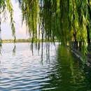 神仙湖生态公园 - 嘉兴市旅游 缩略图 2