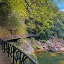 浙江龙湾潭国家森林公园 - 温州市旅游 缩略图 5
