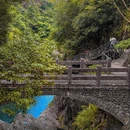 浙江龙湾潭国家森林公园 - 温州市旅游 缩略图 3