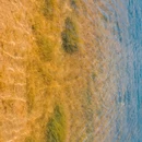 玛多黄河源旅游区 - 果洛藏族自治州旅游 缩略图 8