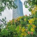 绿轴公园 - 合肥市旅游 缩略图 1