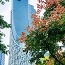 绿轴公园 - 合肥市旅游 缩略图 2