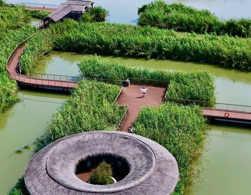 下渚湖·湿地公园-湿地迷宫区 - 湖州市旅游 1