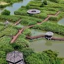 下渚湖·湿地公园-湿地迷宫区 - 湖州市旅游 缩略图 4